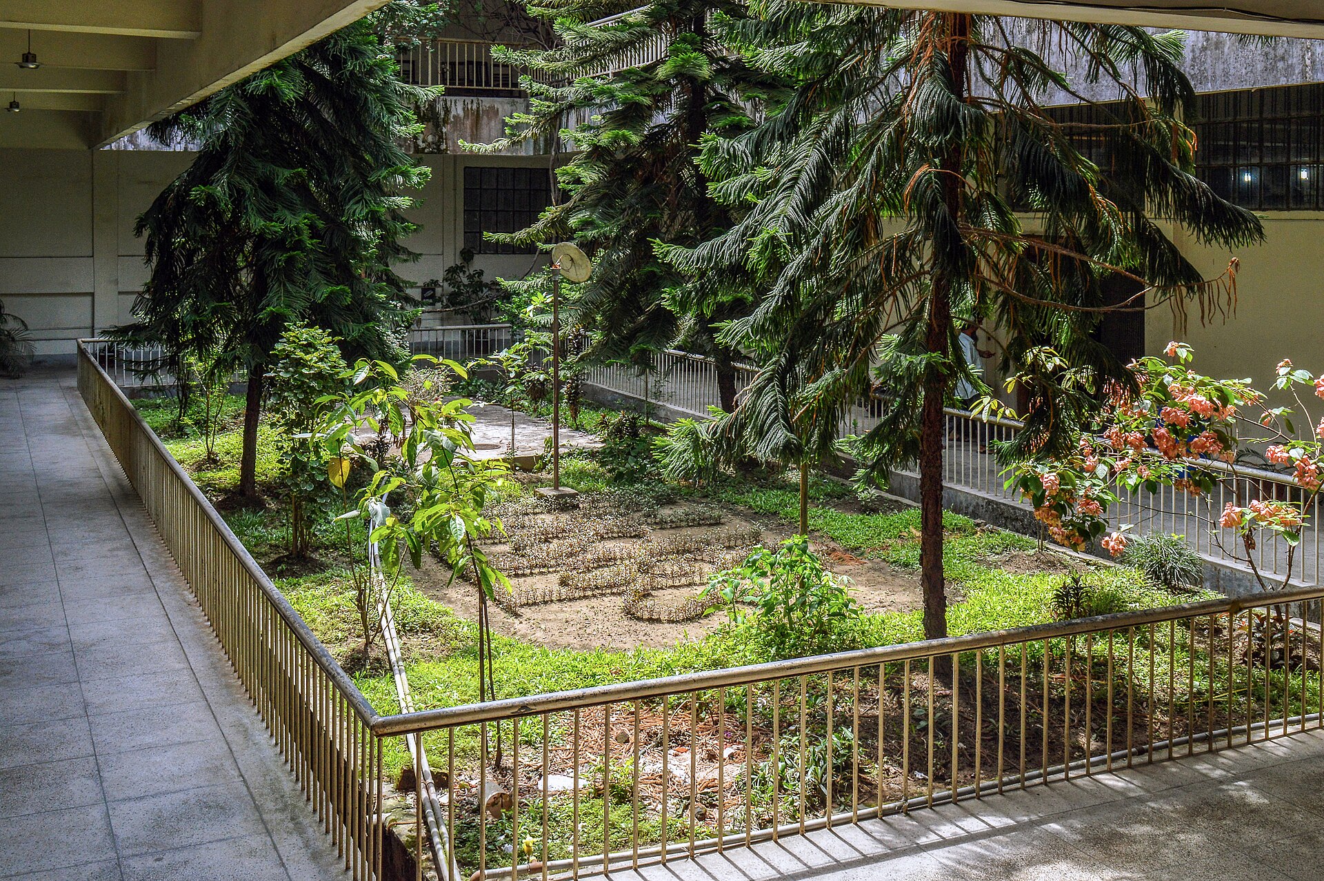 Chittagong University Library garden (west exposure)