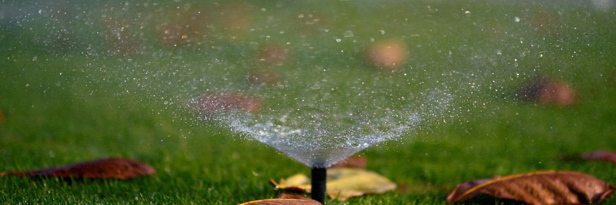 Wie funktioniert eine automatische Bewässerung im Garten?